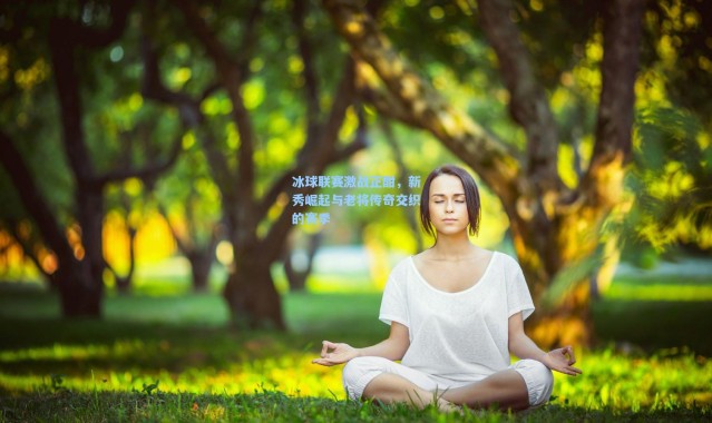 冰球联赛激战正酣，新秀崛起与老将传奇交织的赛季