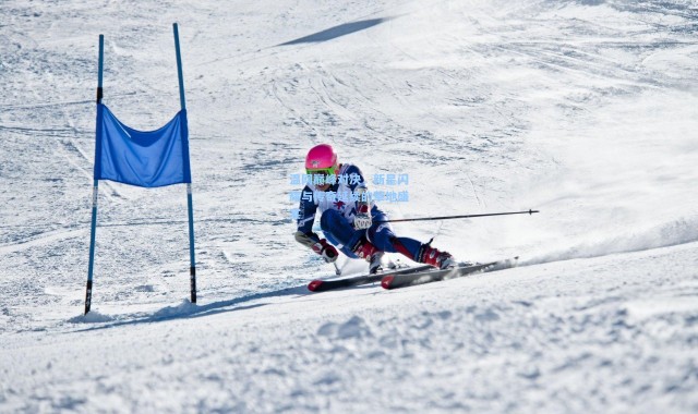 温网巅峰对决，新星闪耀与传奇延续的草地盛宴