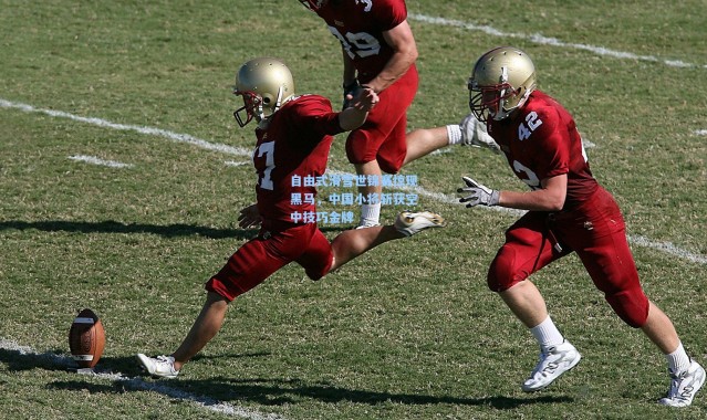 自由式滑雪世锦赛惊现黑马，中国小将斩获空中技巧金牌